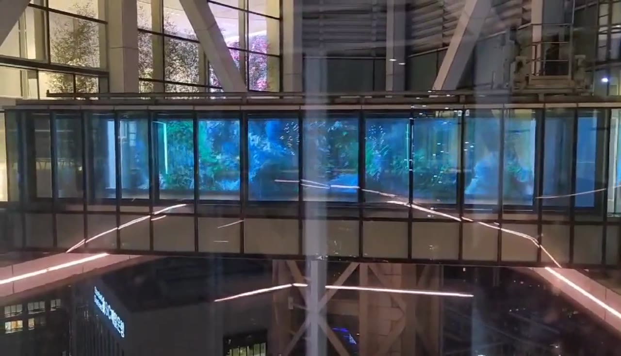 Glass Skybridge — Crystal Film LED Screen installation